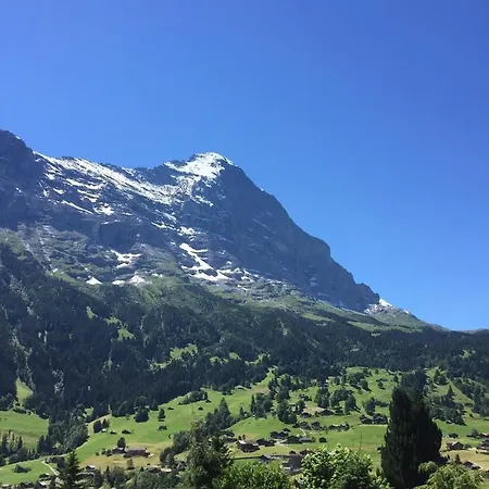 Apartment Jungfrau Lodge Grindelwald Exterior photo